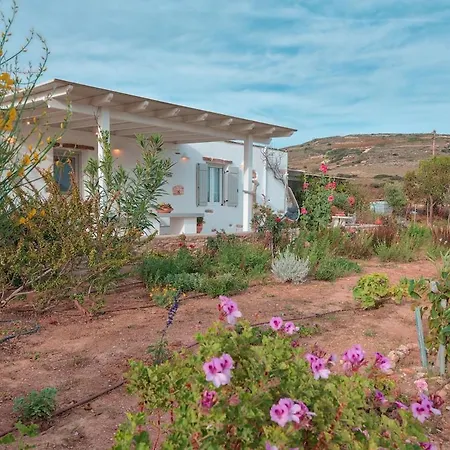 Amalia At Campos Andiparos