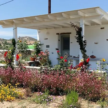 Villa Amalia At Campos