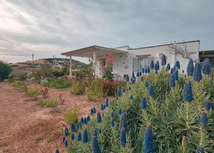 Βίλα Amalia At Campos *