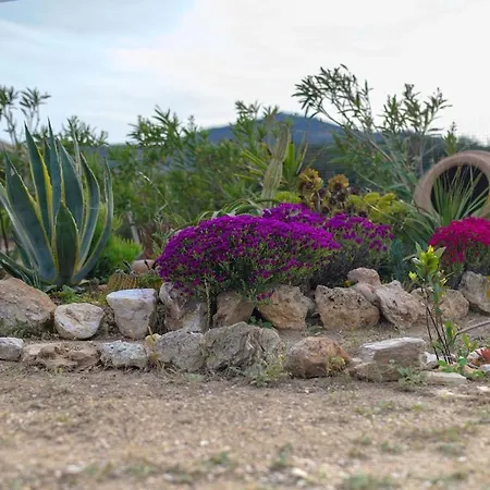 Amalia At Campos Andiparos