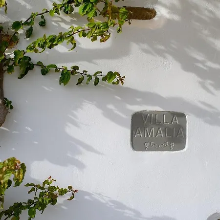 Amalia At Campos Willa