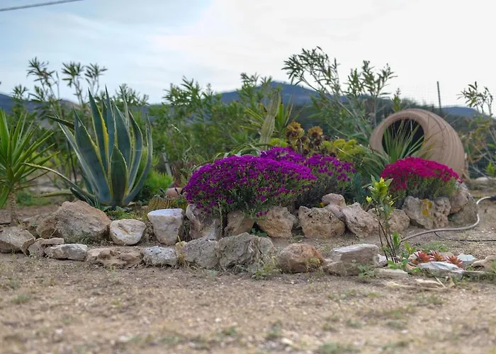 Amalia At Campos Antiparos